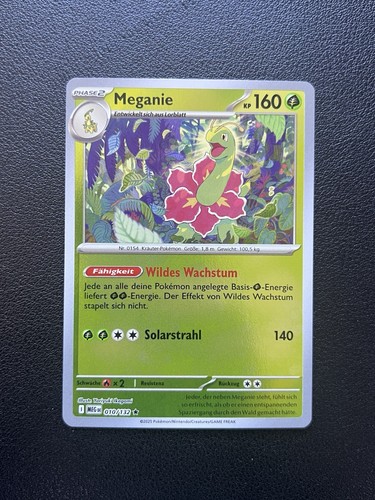Pokémon meganie 010 - pokémon,