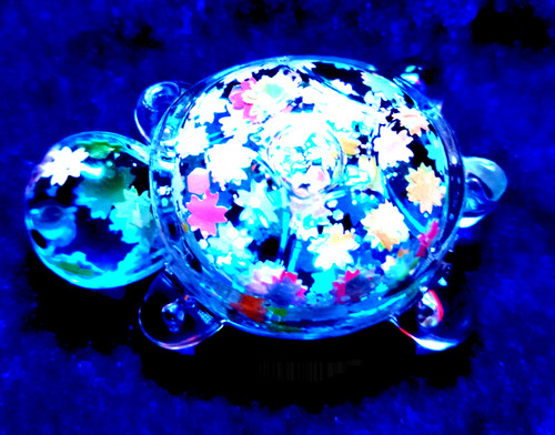 Minkaklecks schildkröte - 1x,