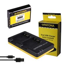 Akku + Dual-Ladegerät für