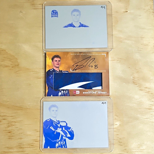 Eishockey tigers lot karten - tigers, 3