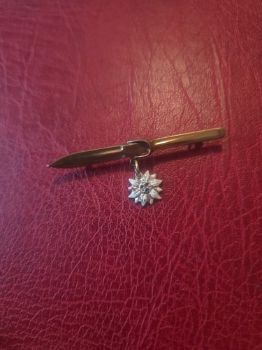 Alte anstecknadel souvenir - anstecknadel,