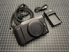 Panasonic Lumix DMC-GX80