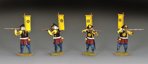 King country acw ashigaru - country,