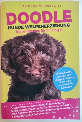 Doodle hunde welpenerziehung - doodle,