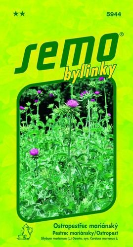 Mariendistel silybum - mariendistel, (silybum