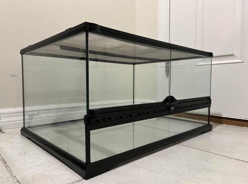 Reptile terrarium - reptile,