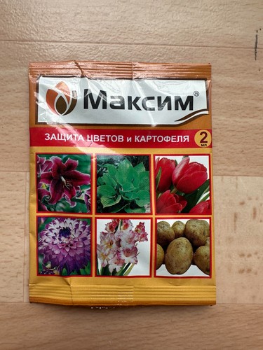 Maxim максим 2мл - Максим,