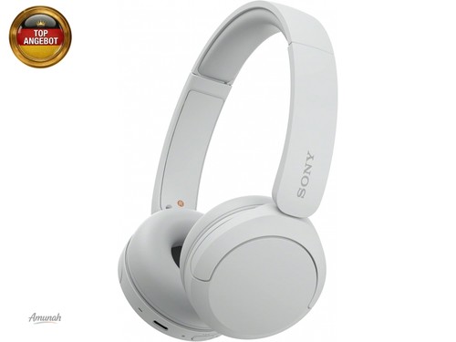 Sony ch520 kabellose - sony, wh-ch520