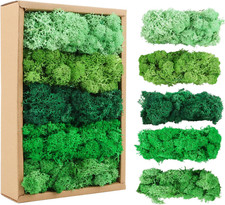 Islandmoos, Moos in 5 Versch