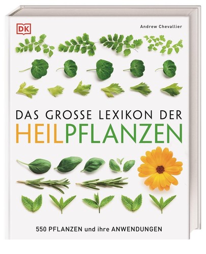 Andrew chevallier das große - chevallier,
