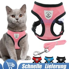 Katzengeschirr mit leine - mit,