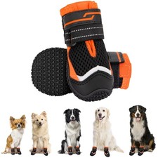 Hundeschuhe, Pfotenschutz