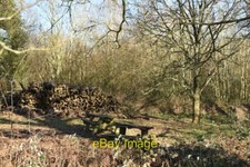 Photo 6x4 Picnic benches and timber stack Timberden Bottom  c2021