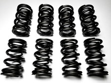 Ventilfedern Doppelt  SCAT