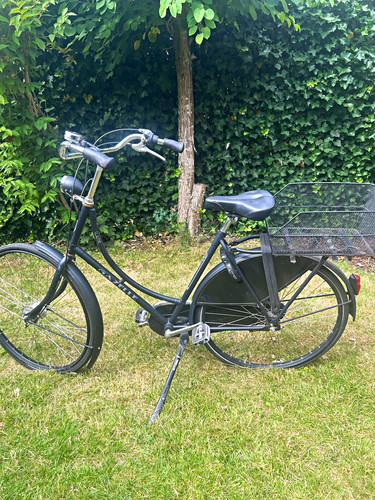 Gazelle hollandrad mit - gazelle,