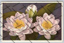 Vintage postcard 1957 - vintage,
