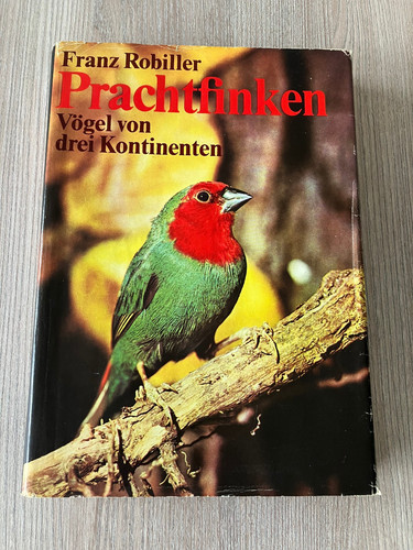 Prachtfinken vögel von drei - -,