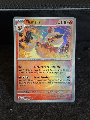 Flamara pre 013 - 013, meisterball