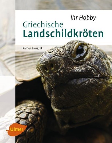 Griechische landschildkröten - griechische,