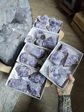 5 Boxen Amethyst Geoden Cluster Drusen Konvolut Aus Mexiko