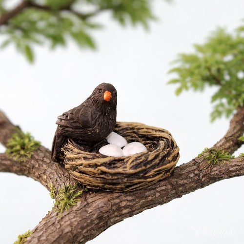 Vogelnest amsel miniatur tier - amsel,