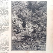 1885 holzstich wood engraving - holzstich,