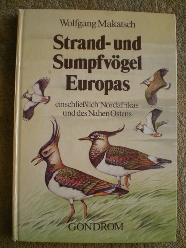 Strand und sumpfvögel - strand-,
