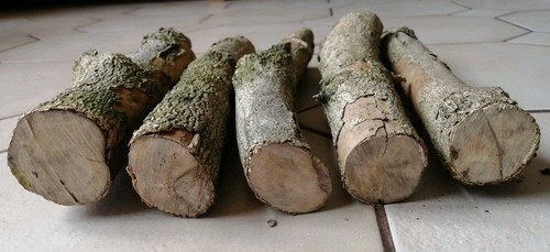Buchs teile - buchs,, 5