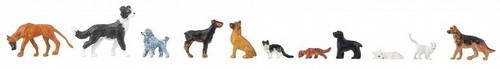 Hunde und katzen - hunde,