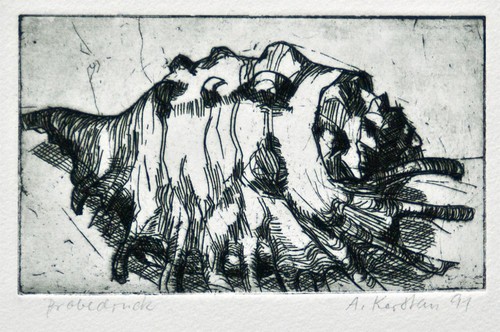 Andreas kerstan schnecke - andreas,