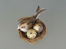 Nest mit Eier u. Vogel