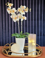 Orchideen Gesteck aus