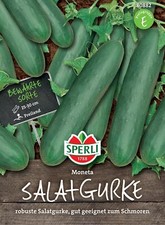 Salatgurke Moneta