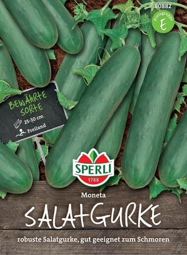 Salatgurke moneta - salatgurke,
