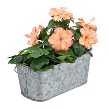 Blumenkasten