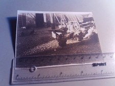 Altes Foto Kind auf Bauernhof