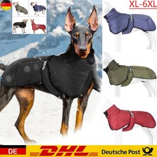 Großer Hund Outdoor Warme