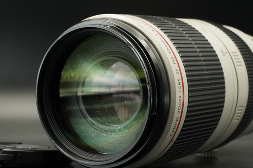 Canon 100 400mm - 100-400mm, l