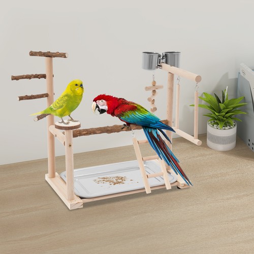 Papagei-Vogel-Spiel-St?nder