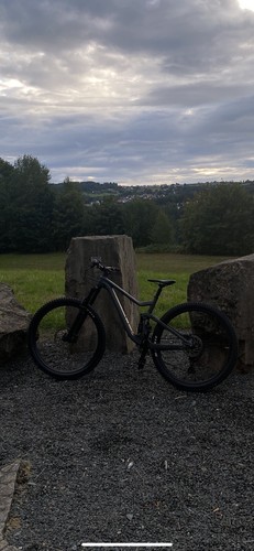 Scott genius 950 - scott,
