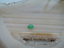 Echter smaragd cabochon oval - echter,