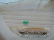 Echter Smaragd Cabochon oval Schmuck Edelstein Fasserstein Sammlerstein 193