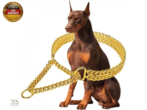 Goldfarbenes hundehalsband - goldfarbenes,