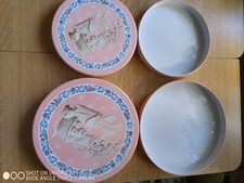 4 Abdeckhauben Platten für