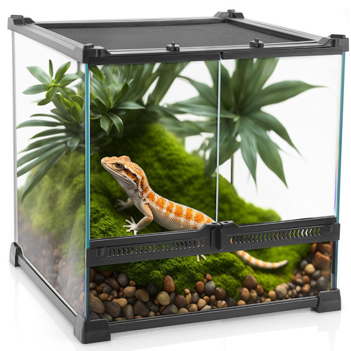 Reptilien terrarium glas - terrarium,
