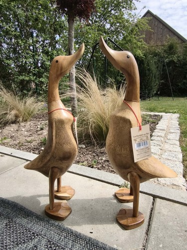 Tolles paar ente aus holz - paar,