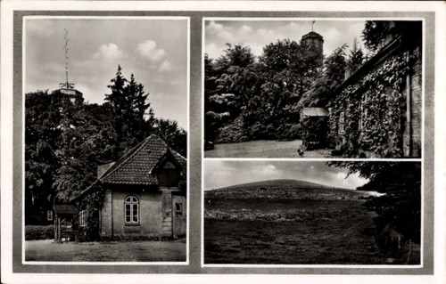 Oldenburg holstein - in,