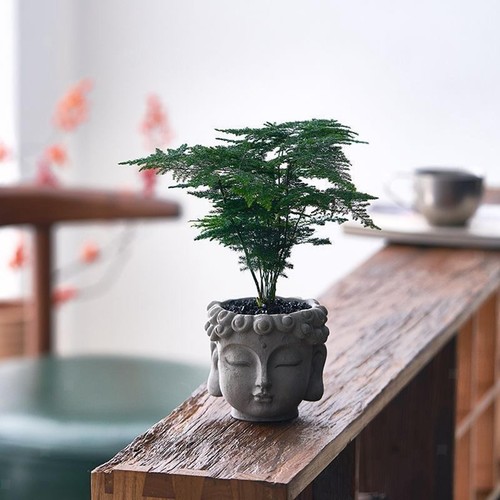 Buddha kopf blumentopf - buddha,