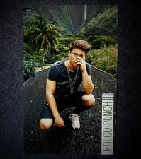 Poster Falco Punch #