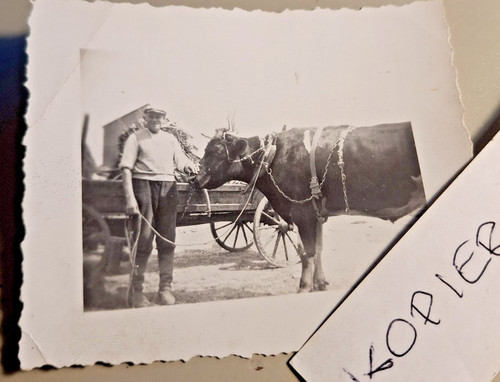Altes foto vintage - altes,
